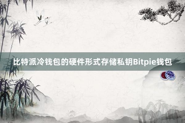 比特派冷钱包的硬件形式存储私钥Bitpie钱包