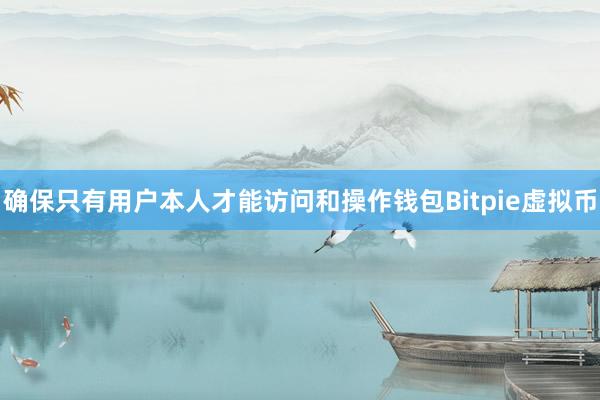 确保只有用户本人才能访问和操作钱包Bitpie虚拟币