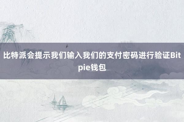 比特派会提示我们输入我们的支付密码进行验证Bitpie钱包