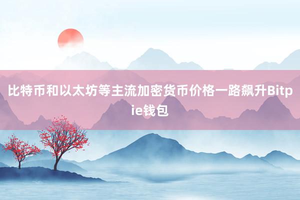 比特币和以太坊等主流加密货币价格一路飙升Bitpie钱包