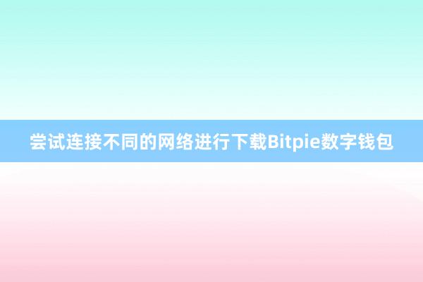 尝试连接不同的网络进行下载Bitpie数字钱包