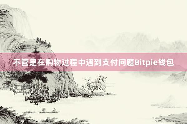 不管是在购物过程中遇到支付问题Bitpie钱包