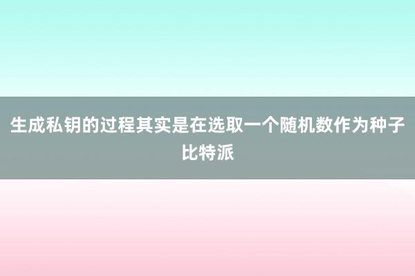 生成私钥的过程其实是在选取一个随机数作为种子比特派