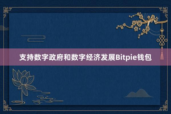 支持数字政府和数字经济发展Bitpie钱包