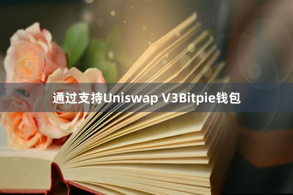 通过支持Uniswap V3Bitpie钱包