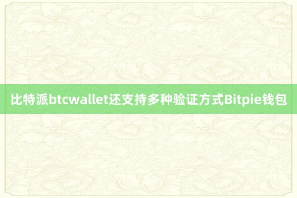 比特派btcwallet还支持多种验证方式Bitpie钱包