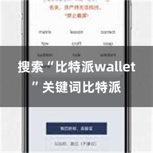 搜索“比特派wallet”关键词比特派